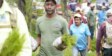 Medio Ambiente llama a seguir integrándose al plan de reforestación y restauración