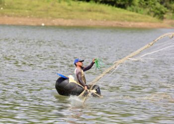 Gobierno emite decreto donde se establece veda por dos años pesca de varias especies