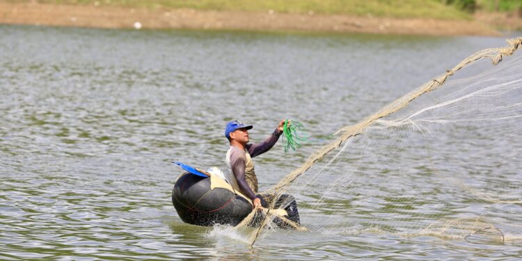 Gobierno emite decreto donde se establece veda por dos años pesca de varias especies