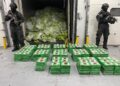 Ocupan 400 paquetes de presunta cocaína en carga de guineos en Caucedo