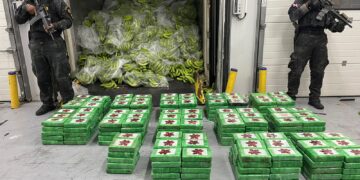 Ocupan 400 paquetes de presunta cocaína en carga de guineos en Caucedo