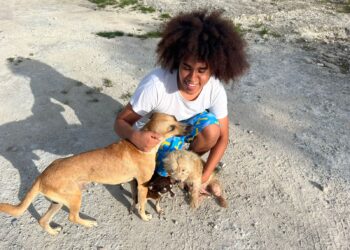 Joven alimenta más de 100 perros de la calle