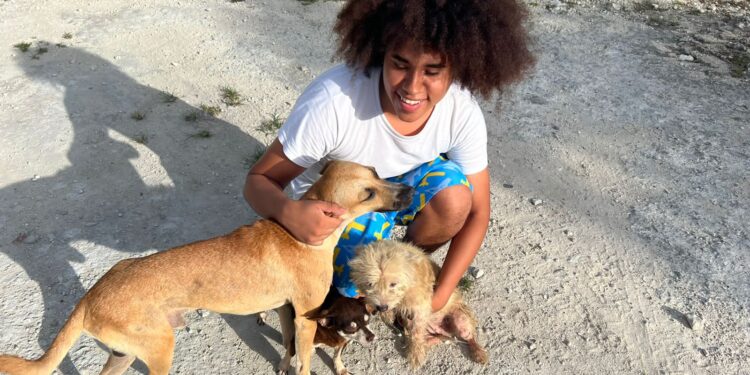 Joven alimenta más de 100 perros de la calle