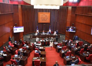 Aprueban en segunda lectura Ley Orgánica de Cámara de Cuentas