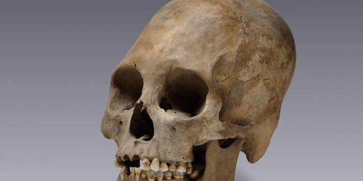 FBI halla 40 cráneos y órganos humanos en la vivienda de un hombre en Kentucky