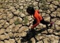 Comenzó el fenómeno El Niño a nivel global: Alerta por calor extremo