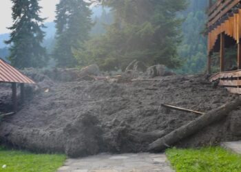 Al menos seis muertos y 31 desaparecidos por deslizamiento de tierra en Georgia