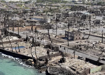 Ya son 96 los muertos en Maui y la prioridad es buscar a los cientos de desaparecidos