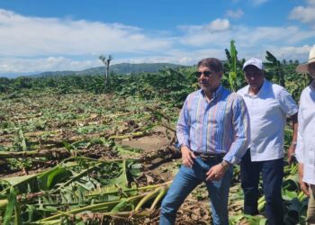 Ministro Limber Cruz acude a zona que  impactó tornado y afectó plantaciones de plátano en La Vega