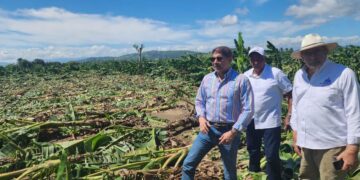 Ministro Limber Cruz acude a zona que  impactó tornado y afectó plantaciones de plátano en La Vega