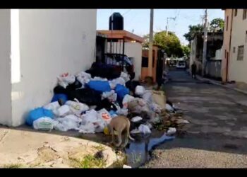 Denuncian falta de recogida de Basura en el Ensanche Isabelita, SDE 