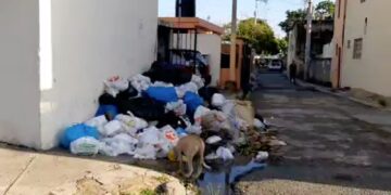 Denuncian falta de recogida de Basura en el Ensanche Isabelita, SDE 