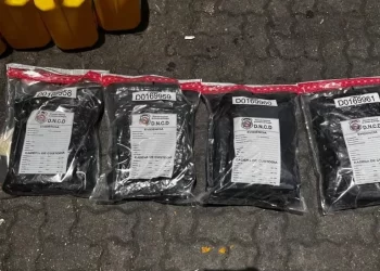 Ocupan 11 libras de marihuana en cajas de comida; apresan uno 