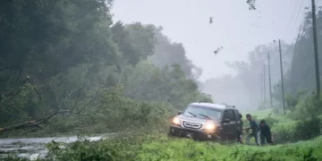 Florida reporta primera muerte por Idalia: Un hombre que conducía “demasiado rápido” bajo el huracán