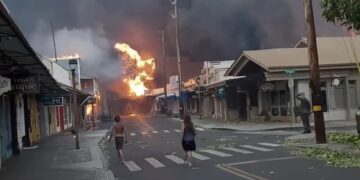 Los incendios forestales en Hawái dejan al menos 36 muertos