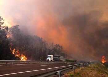 El fuego arrasa miles de hectáreas de Portugal y deja cerca de 1.500 evacuados