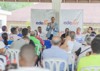 Edesur llevará operativos a sectores "Edesur va a tu sector y revisa tu factura"