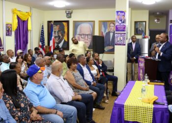 Diputado Luis Henríquez dice gobierno improvisa, compra voluntades y sobre endeuda el país