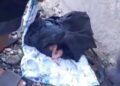 Abandonan a bebé recién nacida a orillas de una cañada