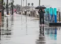 Vientos y tronadas de la tormenta Franklin podrían provocar caída de ramas en Puerto Rico