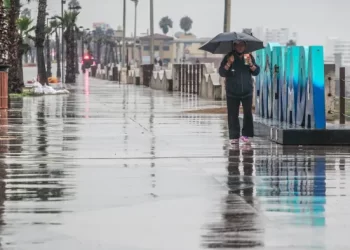 Vientos y tronadas de la tormenta Franklin podrían provocar caída de ramas en Puerto Rico