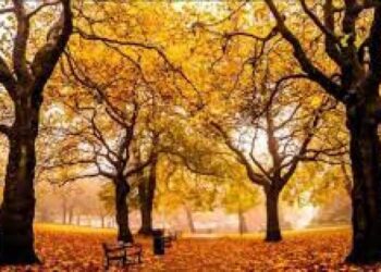 Sábado 23 de septiembre marca oficialmente la llegada del otoño