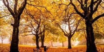 Sábado 23 de septiembre marca oficialmente la llegada del otoño