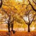 Sábado 23 de septiembre marca oficialmente la llegada del otoño