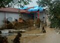11 muertos y 5 desaparecidos por inundaciones en Grecia Turquía y Bulgaria