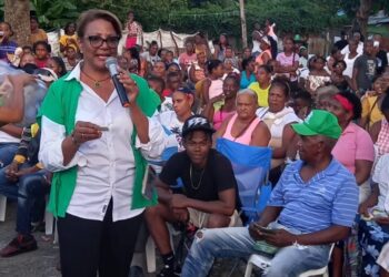 Cientos de personas en Peravia respaldan precandidatura a senadora Vianela Bello De Pol