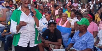 Cientos de personas en Peravia respaldan precandidatura a senadora Vianela Bello De Pol