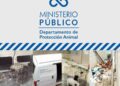 FEDDA denuncia el Ministerio Público desmanteló el Departamento de Protección Animal