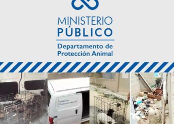 FEDDA denuncia el Ministerio Público desmanteló el Departamento de Protección Animal