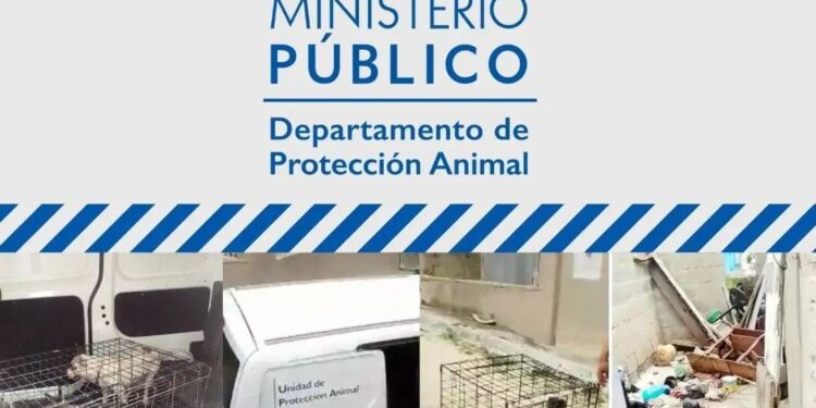 FEDDA denuncia el Ministerio Público desmanteló el Departamento de Protección Animal