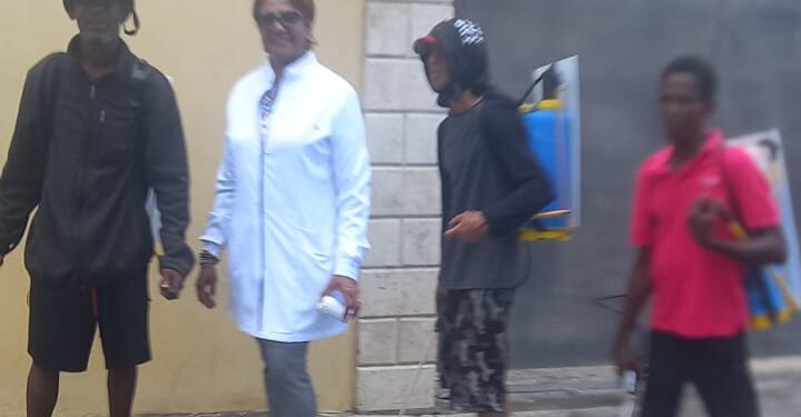 Precandidata a senadora de la Fuerza del Pueblo realiza amplia jornada de fumigación contra el Dengue, en Baní
