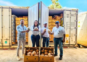 Estados Unidos recibe primeros dos contenedores de coco de agua desde República Dominicana