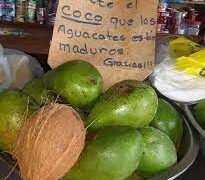 Coco y aguacate RD entrarán por primera vez a mercados EEUU y Jamaica