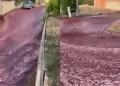 2 millones de litros de vino tinto inundaron las calles de un pueblo en Portugal