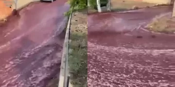 2 millones de litros de vino tinto inundaron las calles de un pueblo en Portugal
