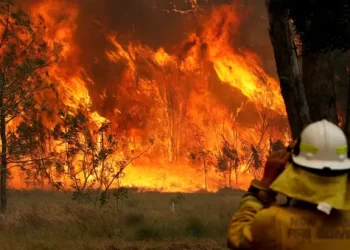 Al menos dos muertos a raíz de los incendios forestales en el noreste de Australia