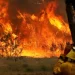 Al menos dos muertos a raíz de los incendios forestales en el noreste de Australia