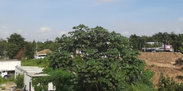 Ambiente soleado, escasas lluvias y temperaturas calurosas, según Onamet