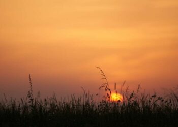 Ambiente caluroso y soleado salvo algunas lluvias locales al interior para la tarde