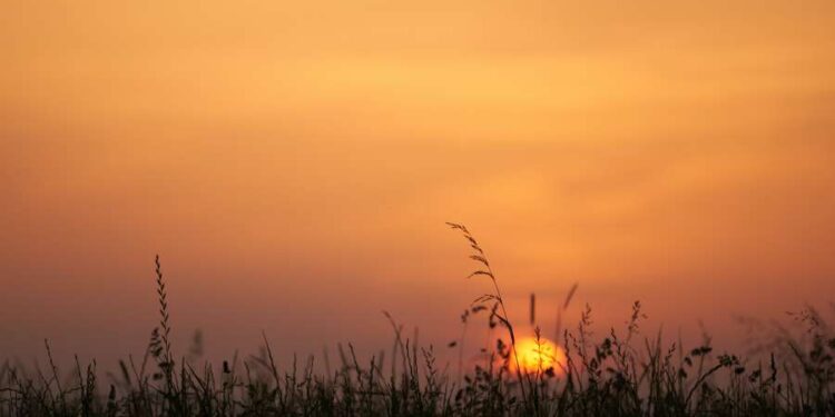 Ambiente caluroso y soleado salvo algunas lluvias locales al interior para la tarde