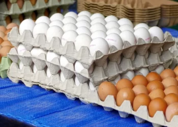 Gobierno ha comprado casi 10 millones de huevos a productores afectados por cierre de la frontera