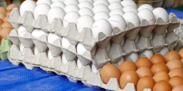 Gobierno ha comprado casi 10 millones de huevos a productores afectados por cierre de la frontera