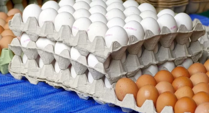 Gobierno ha comprado casi 10 millones de huevos a productores afectados por cierre de la frontera