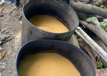 Policía y MP desmantelan fábrica clandestina de bebidas alcohólicas adulteradas