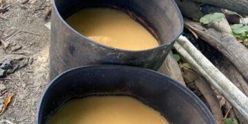 Policía y MP desmantelan fábrica clandestina de bebidas alcohólicas adulteradas