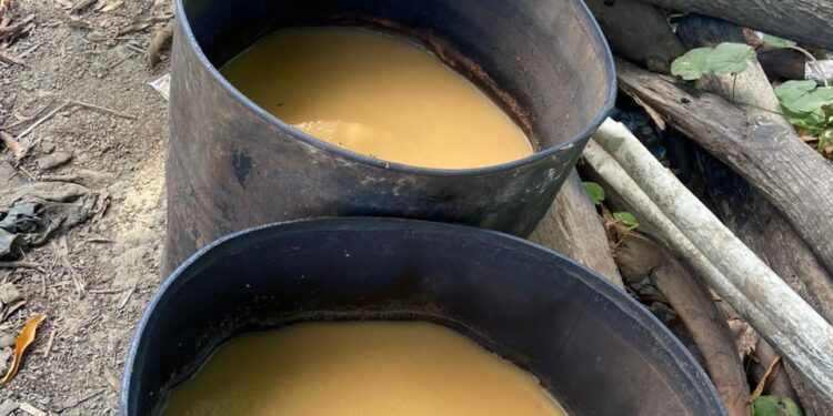 Policía y MP desmantelan fábrica clandestina de bebidas alcohólicas adulteradas